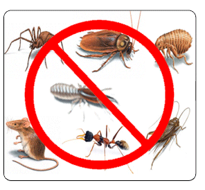 Дезинфекция, уничтожение клопов и тараканов в Новоуральске, дезинсекция, убоработка от насекомых
